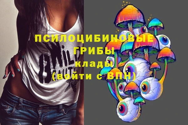 mdpv Белокуриха