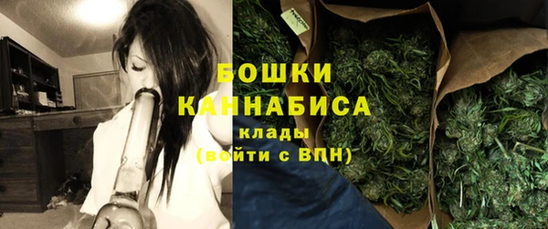 mdpv Белокуриха