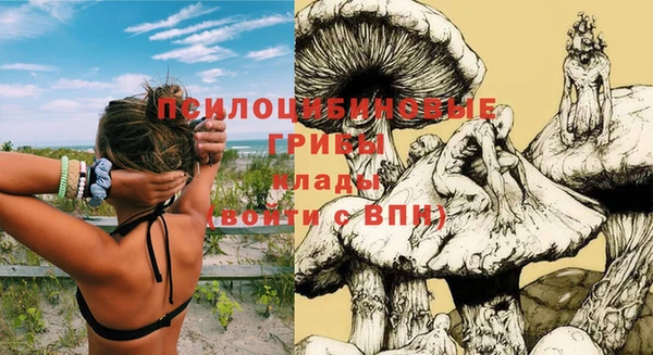 герыч Беломорск